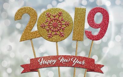 MEILLEURS VOEUX 2019 !